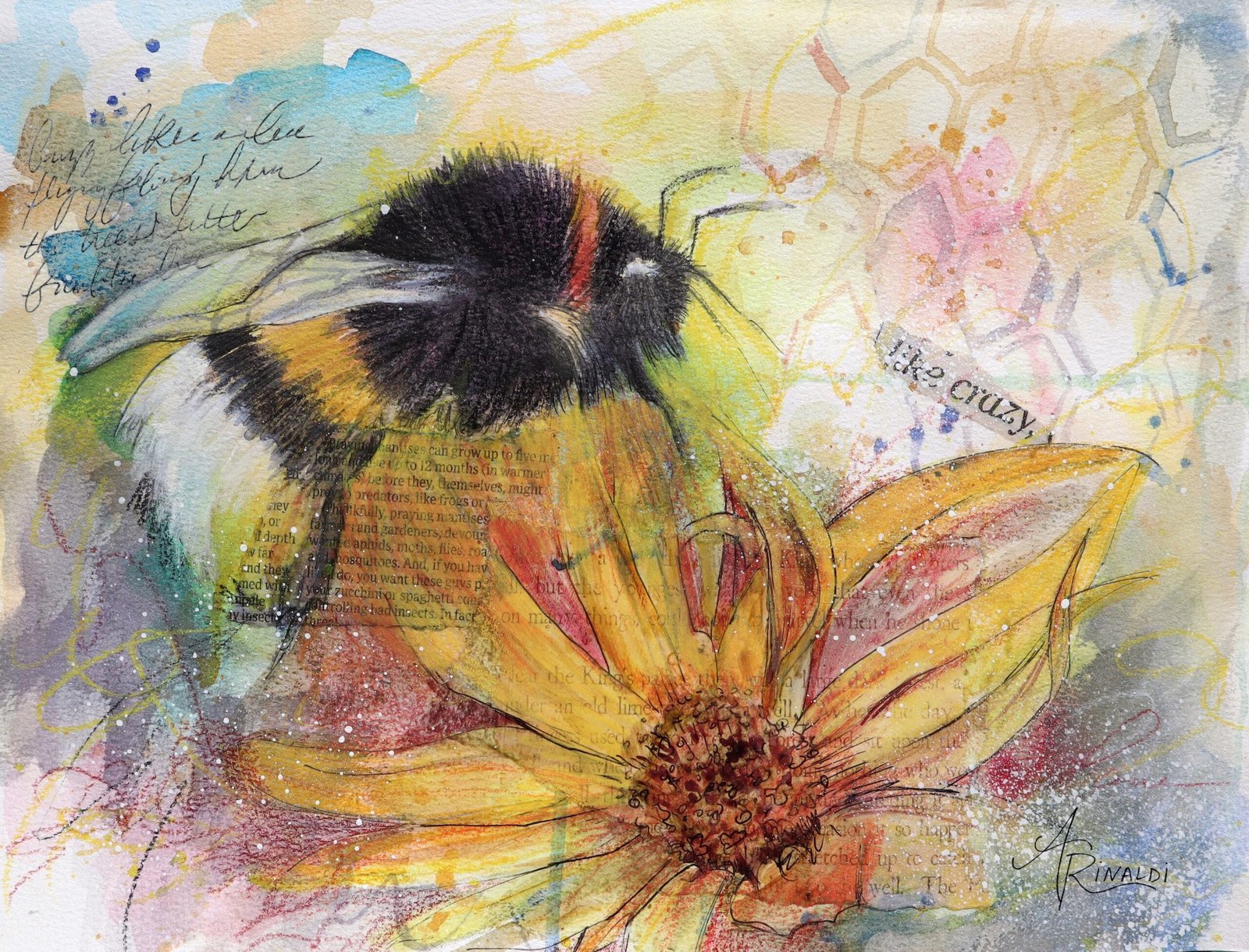drinking sunshine #2 fine art print