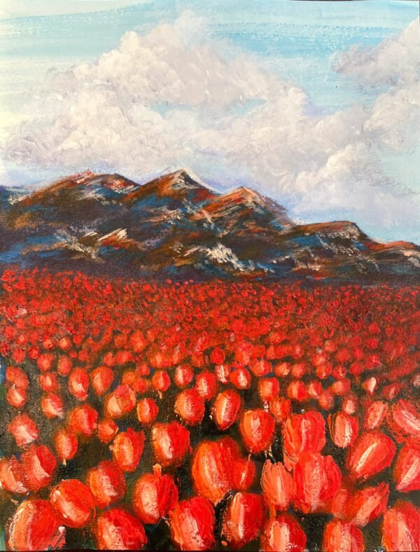 poppies