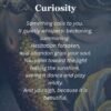 curiosity