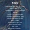seek