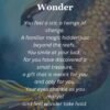 wonder