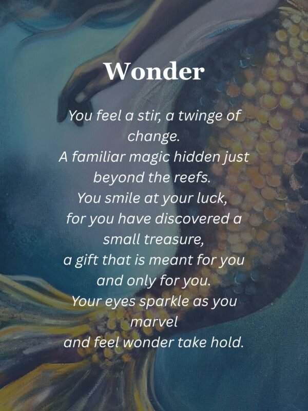 wonder