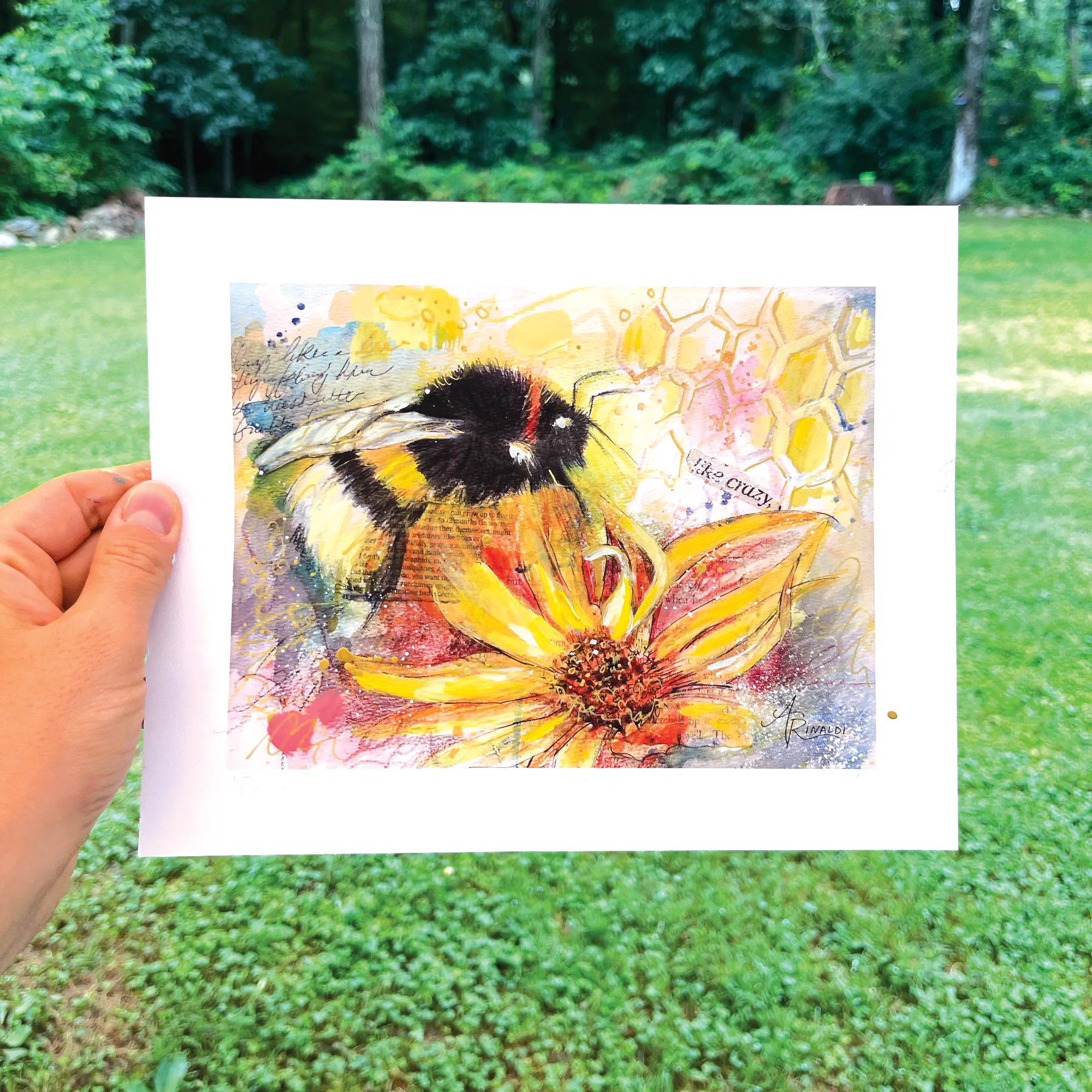 le drinkingsunshine watercolor front updated